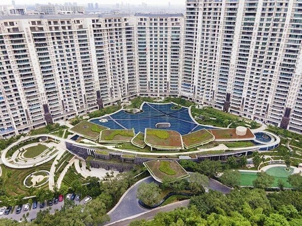 DLF The Camellias